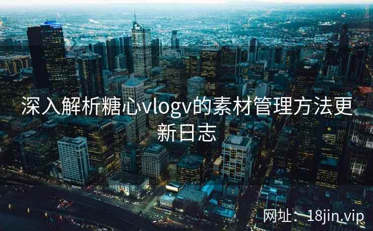 深入解析糖心vlogv的素材管理方法更新日志