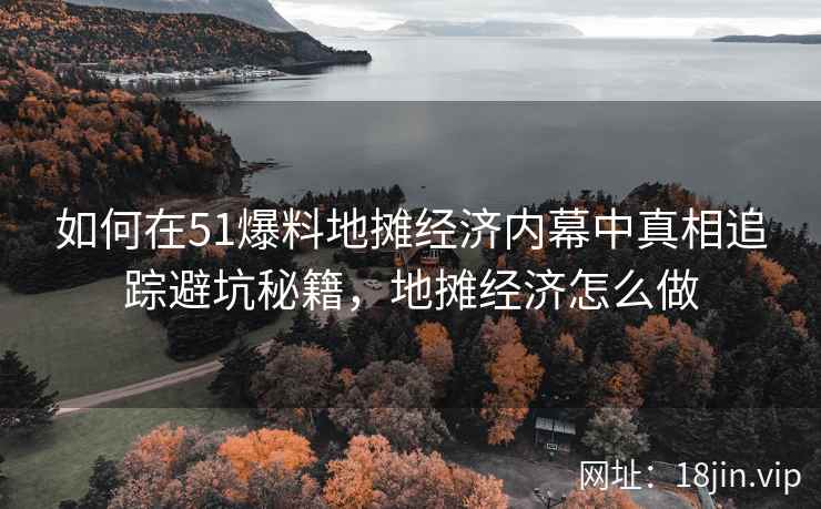 如何在51爆料地摊经济内幕中真相追踪避坑秘籍，地摊经济怎么做