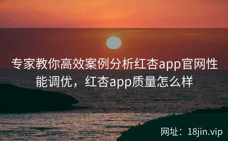 专家教你高效案例分析红杏app官网性能调优，红杏app质量怎么样