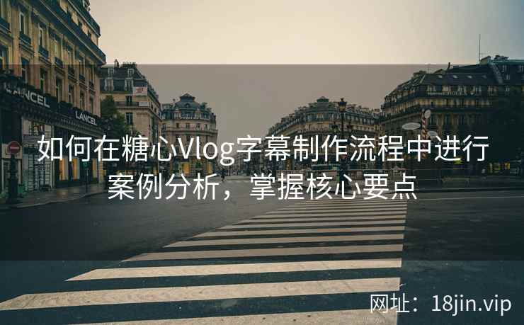 如何在糖心Vlog字幕制作流程中进行案例分析，掌握核心要点