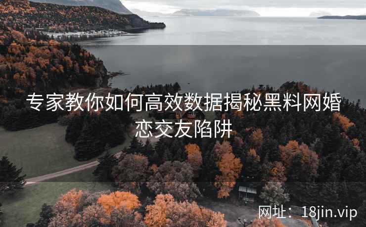 专家教你如何高效数据揭秘黑料网婚恋交友陷阱