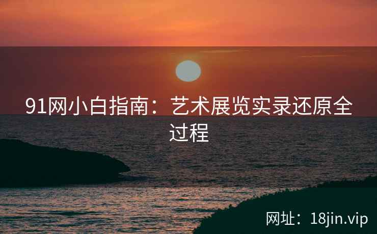 91网小白指南：艺术展览实录还原全过程